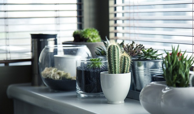 Floreren met groen: van binnenshuis verzorging tot duurzame tuinlandschappen